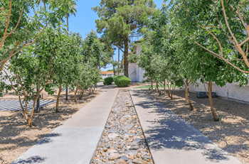 Pathway
